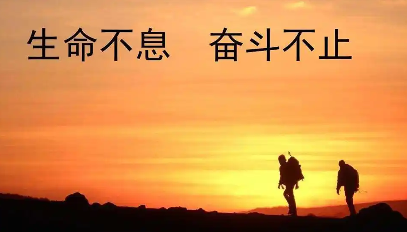 好项目网3.0