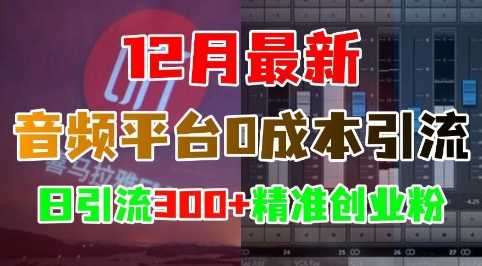 12月最新：音频平台0成本引流，日引流300+精准创业粉好项目网-专注分享网络创业项目落地实操课程 – 全网首发_高质量创业项目输出好项目网