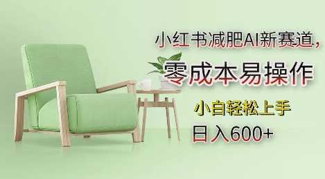 小红书减肥AI新赛道，零成本易操作，日入多张，小白轻松上手【揭秘】好项目网-专注分享网络创业项目落地实操课程 – 全网首发_高质量创业项目输出好项目网