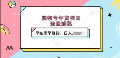 视频号年货项目，流量贼猛，早布局早挣钱，日入上k【揭秘】好项目网-专注分享网络创业项目落地实操课程 – 全网首发_高质量创业项目输出好项目网