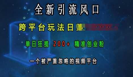 全新引流风口，跨平台玩法日入上k，单日狂揽200+精准创业粉，一个被严重忽略的视频平台好项目网-专注分享网络创业项目落地实操课程 – 全网首发_高质量创业项目输出好项目网