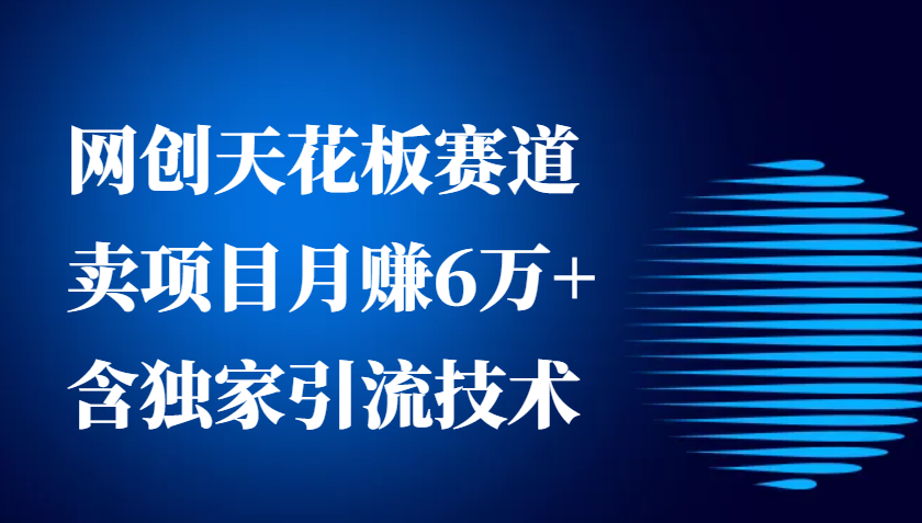 网创天花板赛道，卖项目月赚6万+，含独家引流技术（共26节课）好项目网-专注分享网络创业项目落地实操课程 – 全网首发_高质量创业项目输出好项目网