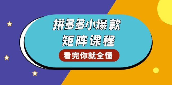 （13699期）拼多多爆款矩阵课程：教你测出店铺爆款，优化销量，提升GMV，打造爆款群好项目网-专注分享网络创业项目落地实操课程 – 全网首发_高质量创业项目输出好项目网