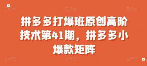拼多多打爆班原创高阶技术第41期，拼多多小爆款矩阵好项目网-专注分享网络创业项目落地实操课程 – 全网首发_高质量创业项目输出好项目网