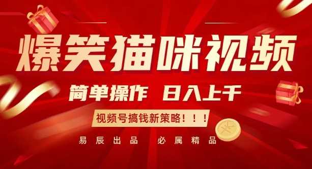 爆笑猫咪视频：简单操作，日入过K，视频号搞钱新策略【揭秘】好项目网-专注分享网络创业项目落地实操课程 – 全网首发_高质量创业项目输出好项目网