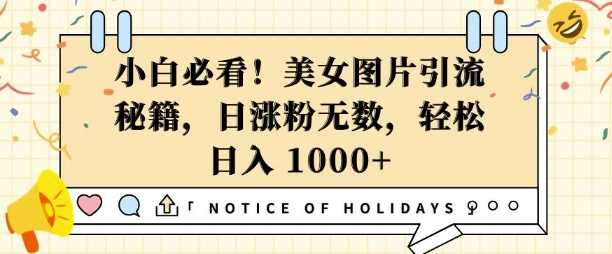 小白必看，美女图片引流秘籍，日涨粉无数，轻松日入几张【揭秘】好项目网-专注分享网络创业项目落地实操课程 – 全网首发_高质量创业项目输出好项目网