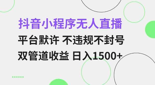 抖音小程序无人直播 平台默许 不违规不封号 双管道收益 日入多张 小白也能轻松操作【仅揭秘】好项目网-专注分享网络创业项目落地实操课程 – 全网首发_高质量创业项目输出好项目网