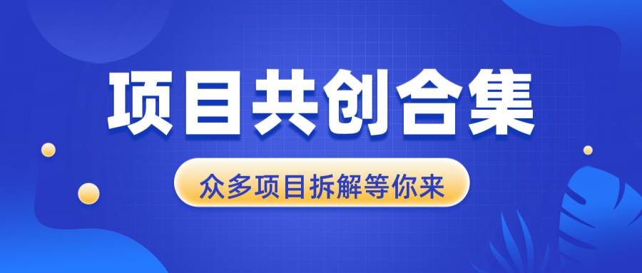 （13778期）项目共创合集，从0-1全过程拆解，让你迅速找到适合自已的项目好项目网-专注分享网络创业项目落地实操课程 – 全网首发_高质量创业项目输出好项目网