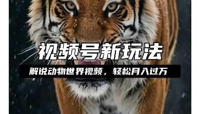 利用动物世界解说视频，赚分成计划收益，轻松月入过W，操作简单【揭秘】好项目网-专注分享网络创业项目落地实操课程 – 全网首发_高质量创业项目输出好项目网