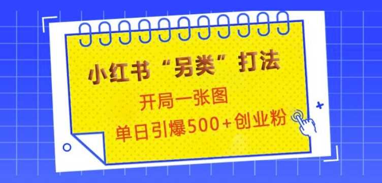小红书“另类”打法，开局一张图，单日引爆500+精准创业粉【揭秘】好项目网-专注分享网络创业项目落地实操课程 – 全网首发_高质量创业项目输出好项目网