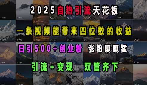 2025自热引流天花板，一条视频能带来四位数的收益，引流+变现双管齐下，日引500+创业粉，涨粉嘎嘎猛好项目网-专注分享网络创业项目落地实操课程 – 全网首发_高质量创业项目输出好项目网