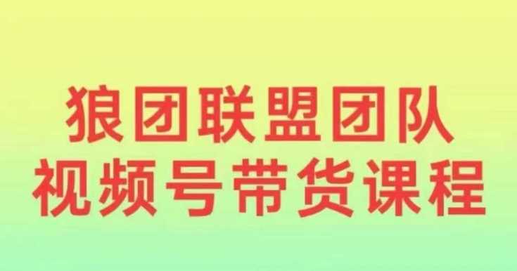 狼团联盟2024视频号带货，0基础小白快速入局视频号好项目网-专注分享网络创业项目落地实操课程 – 全网首发_高质量创业项目输出好项目网