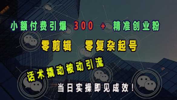 小额付费引爆 300 + 精准创业粉，零剪辑、零复杂起号，话术撬动被动引流，当日实操即见成效好项目网-专注分享网络创业项目落地实操课程 – 全网首发_高质量创业项目输出好项目网