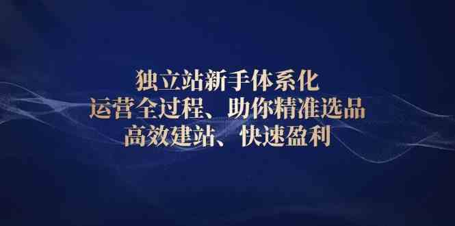 独立站新手体系化 运营全过程，助你精准选品、高效建站、快速盈利好项目网-专注分享网络创业项目落地实操课程 – 全网首发_高质量创业项目输出好项目网