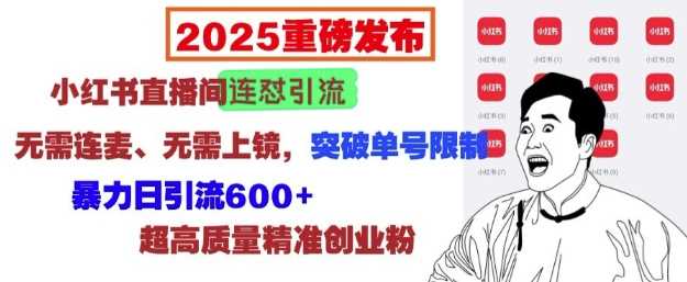 2025重磅发布：小红书直播间连怼引流，无需连麦、无需上镜，突破单号限制，暴力日引流600+好项目网-专注分享网络创业项目落地实操课程 – 全网首发_高质量创业项目输出好项目网