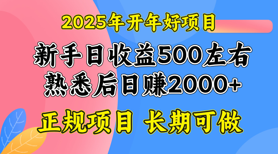 2025开年好项目，单号日收益2000左右好项目网-专注分享网络创业项目落地实操课程 – 全网首发_高质量创业项目输出好项目网