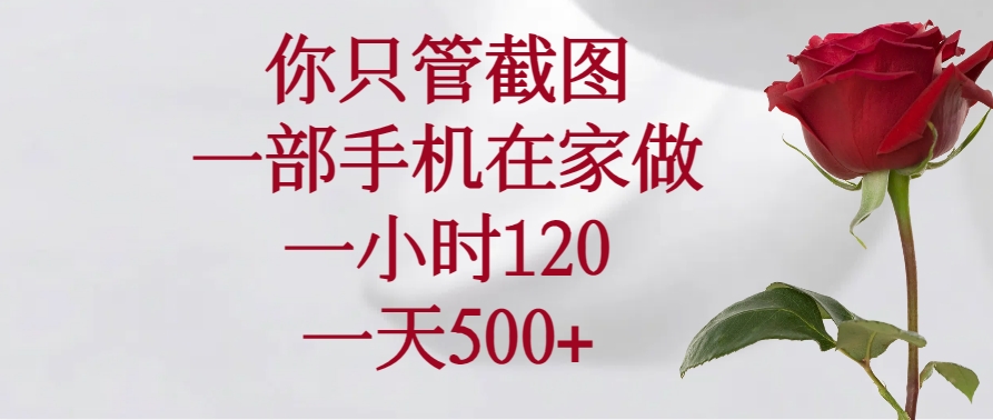 你只管截图，一部手机在家做，一小时120，一天500+好项目网-专注分享网络创业项目落地实操课程 – 全网首发_高质量创业项目输出好项目网