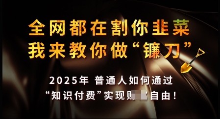 知识付费如何做到月入过W+，2025我来教你做“镰刀”【揭秘】好项目网-专注分享网络创业项目落地实操课程 – 全网首发_高质量创业项目输出好项目网