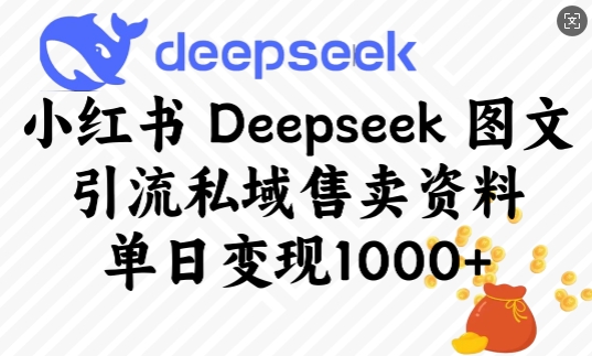 小红书Deepseek图文引流私域售卖资料，单日变现多张好项目网-专注分享网络创业项目落地实操课程 – 全网首发_高质量创业项目输出好项目网