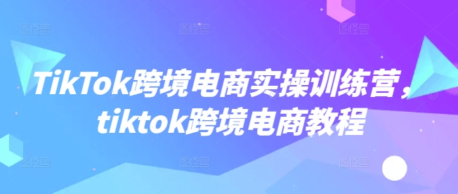TikTok跨境电商实操训练营，tiktok跨境电商教程好项目网-专注分享网络创业项目落地实操课程 – 全网首发_高质量创业项目输出好项目网