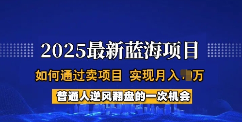 2025蓝海项目，普通人如何通过卖项目，实现月入过W，全过程【揭秘】好项目网-专注分享网络创业项目落地实操课程 – 全网首发_高质量创业项目输出好项目网