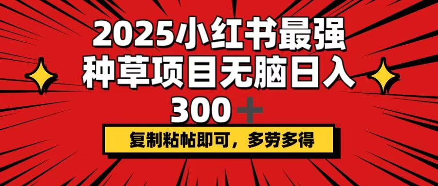 2025小红书最强种草项目，无脑日入300+，复制粘帖即可，多劳多得好项目网-专注分享网络创业项目落地实操课程 – 全网首发_高质量创业项目输出好项目网
