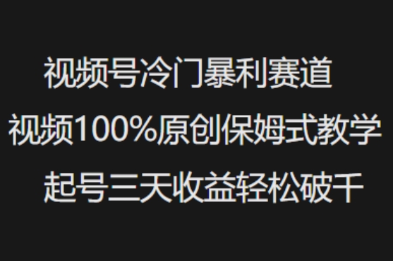 视频号冷门暴利赛道视频100%原创保姆式教学起号三天收益轻松破千好项目网-专注分享网络创业项目落地实操课程 – 全网首发_高质量创业项目输出好项目网