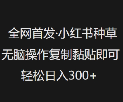 全网首发，小红书种草无脑操作，复制黏贴即可，轻松日入3张好项目网-专注分享网络创业项目落地实操课程 – 全网首发_高质量创业项目输出好项目网