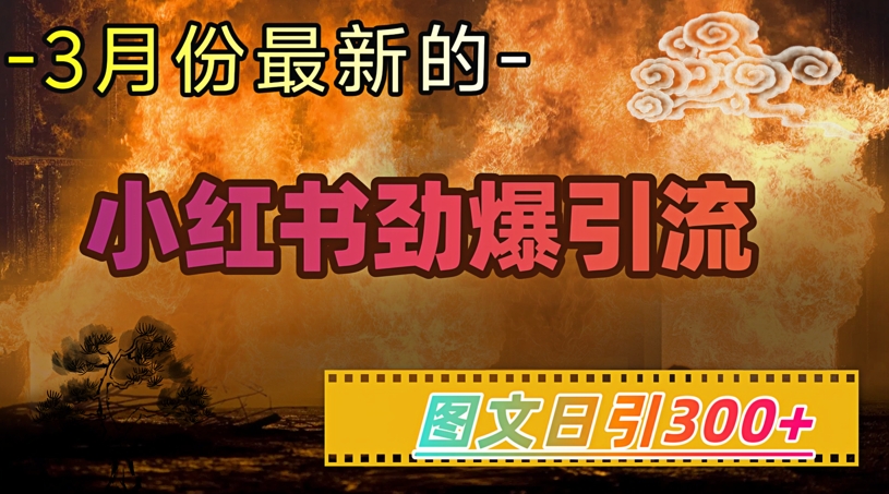 小红书超劲爆引流手段，图文日引300+轻松变现1W好项目网-专注分享网络创业项目落地实操课程 – 全网首发_高质量创业项目输出好项目网