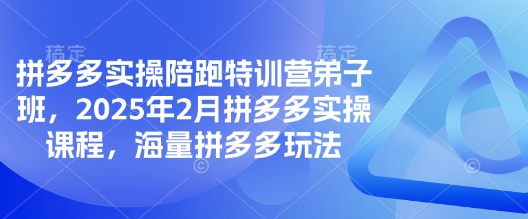 拼多多实操陪跑特训营弟子班，2025年2月拼多多实操课程，海量拼多多玩法好项目网-专注分享网络创业项目落地实操课程 – 全网首发_高质量创业项目输出好项目网