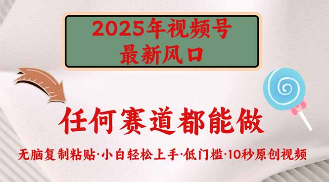 2025年视频号新风口，低门槛只需要无脑执行好项目网-专注分享网络创业项目落地实操课程 – 全网首发_高质量创业项目输出好项目网