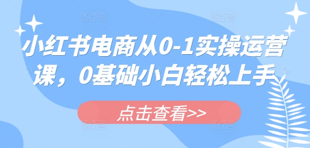 小红书电商从0-1实操运营课，0基础小白轻松上手好项目网-专注分享网络创业项目落地实操课程 – 全网首发_高质量创业项目输出好项目网
