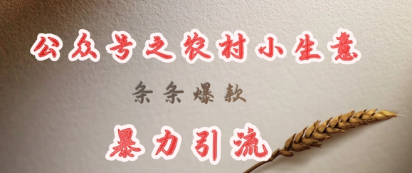 deepseek写农村小项目，条条爆款，暴力引流好项目网-专注分享网络创业项目落地实操课程 – 全网首发_高质量创业项目输出好项目网