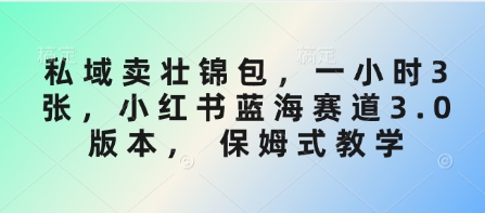 私域卖壮锦包，一小时3张，小红书蓝海赛道3.0版本， 保姆式教学好项目网-专注分享网络创业项目落地实操课程 – 全网首发_高质量创业项目输出好项目网