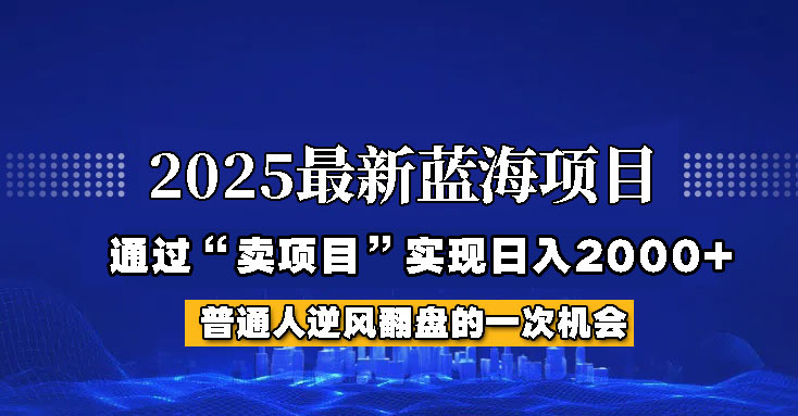 2025年蓝海项目，如何通过“网创项目”日入2000+好项目网-专注分享网络创业项目落地实操课程 – 全网首发_高质量创业项目输出好项目网