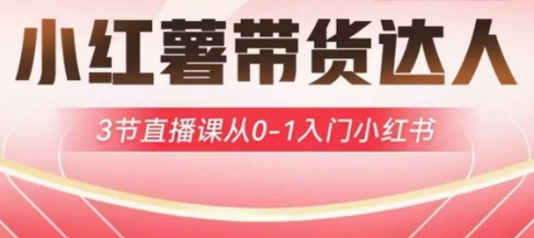 小红薯达人带货启航计划，3节直播课从0-1入门小红书好项目网-专注分享网络创业项目落地实操课程 – 全网首发_高质量创业项目输出好项目网
