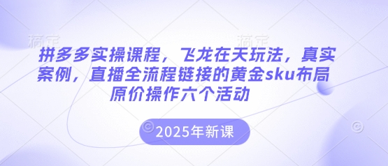 拼多多实操课程，飞龙在天玩法，真实案例，直播全流程链接的黄金sku布局原价操作六个活动好项目网-专注分享网络创业项目落地实操课程 – 全网首发_高质量创业项目输出好项目网