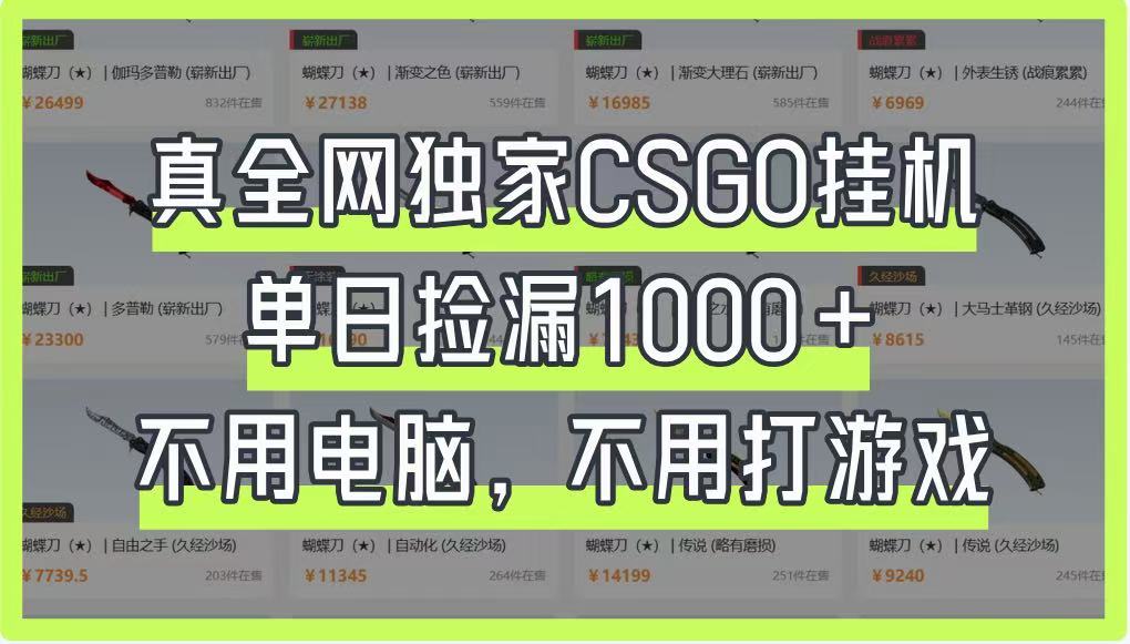 真全网独家CSGO挂机，单日捡漏1000+，不用电脑，不用养号好项目网-专注分享网络创业项目落地实操课程 – 全网首发_高质量创业项目输出好项目网