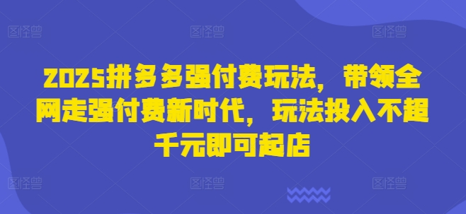 2025拼多多强付费玩法，带领全网走强付费新时代，玩法投入不超千元即可起店好项目网-专注分享网络创业项目落地实操课程 – 全网首发_高质量创业项目输出好项目网