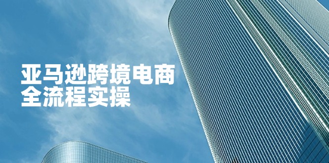亚马逊跨境电商全流程实操，教你从零开始，掌握店铺运营与广告技巧好项目网-专注分享网络创业项目落地实操课程 – 全网首发_高质量创业项目输出好项目网