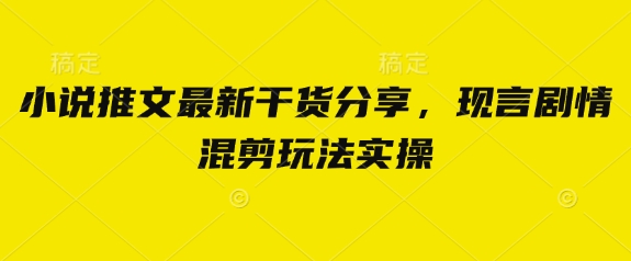 小说推文最新干货分享，现言剧情混剪玩法实操好项目网-专注分享网络创业项目落地实操课程 – 全网首发_高质量创业项目输出好项目网
