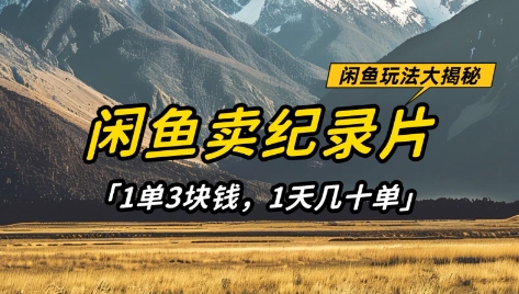 闲鱼卖纪录片1单3块钱，1天几十单，项目稳定有潜力好项目网-专注分享网络创业项目落地实操课程 – 全网首发_高质量创业项目输出好项目网