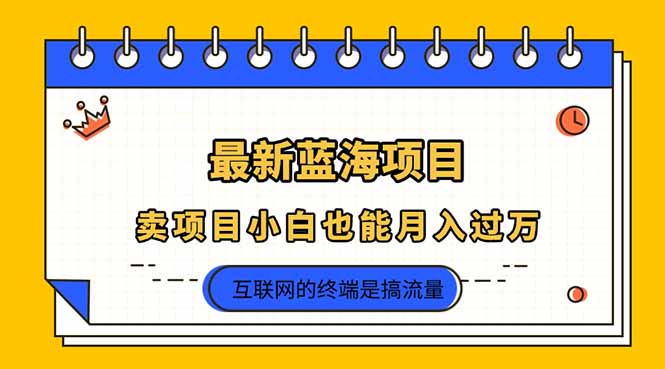 2025年最新蓝海项目，卖项目小白也能月入过万好项目网-专注分享网络创业项目落地实操课程 – 全网首发_高质量创业项目输出好项目网