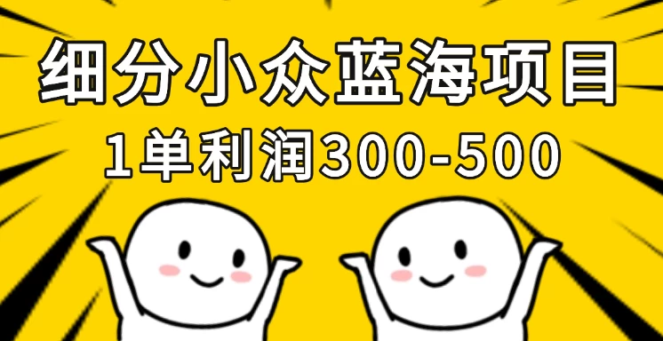 细分小众蓝海项目，一单利润300-500，每月收入稳定4w+好项目网-专注分享网络创业项目落地实操课程 – 全网首发_高质量创业项目输出好项目网