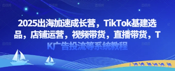 2025出海加速成长营，TikTok基建选品，店铺运营，视频带货，直播带货，TK广告投流等系统教程好项目网-专注分享网络创业项目落地实操课程 – 全网首发_高质量创业项目输出好项目网