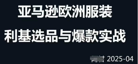 跨境电商选品案例24-25年，聚焦跨境电商选品策略与运营优化，助力卖家挖掘蓝海市场好项目网-专注分享网络创业项目落地实操课程 – 全网首发_高质量创业项目输出好项目网