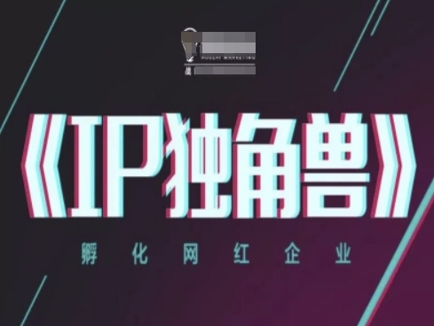IP独角兽，孵化网红企业，ip教程好项目网-专注分享网络创业项目落地实操课程 – 全网首发_高质量创业项目输出好项目网
