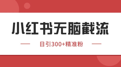 小红书只要你有同行就能获客，独家野路子获客玩法，暴力截流【揭秘】好项目网-专注分享网络创业项目落地实操课程 – 全网首发_高质量创业项目输出好项目网