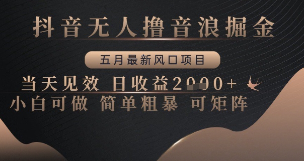 抖音无人撸音浪掘金，五月最新风口项目，当天见效，日收益多张，小白可做简单粗暴可矩阵【揭秘】好项目网-专注分享网络创业项目落地实操课程 – 全网首发_高质量创业项目输出好项目网