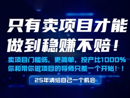只有卖项目才能做到稳挣不赔，门槛低，更简单，你也可以年入百个W【揭秘】好项目网-专注分享网络创业项目落地实操课程 – 全网首发_高质量创业项目输出好项目网